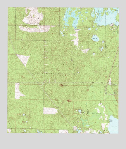 Farles Lake, FL USGS Topographic Map