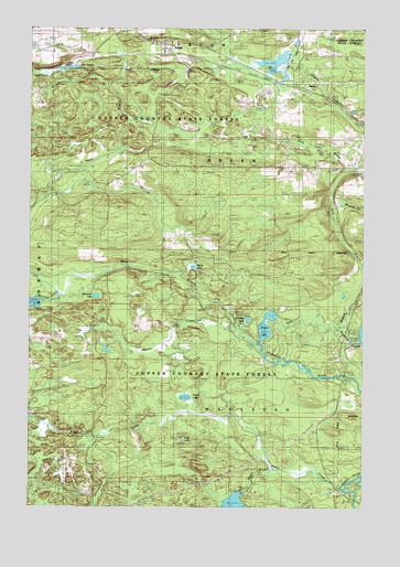 Felch, MI USGS Topographic Map