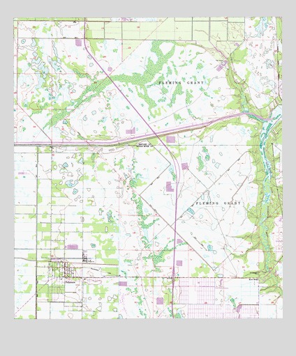 Fellsmere, FL USGS Topographic Map