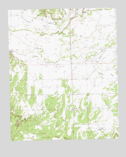 Fence Lake, NM USGS Topographic Map