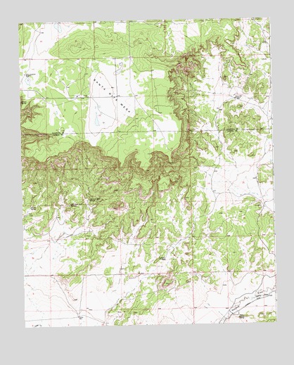 Fence Lake SW, NM USGS Topographic Map