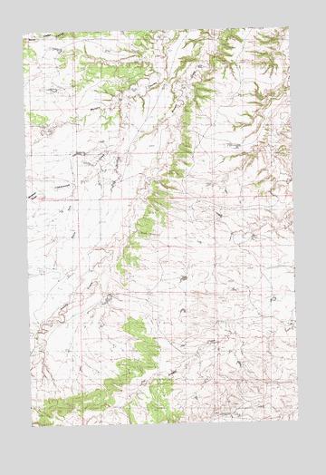 Fergus NE, MT USGS Topographic Map