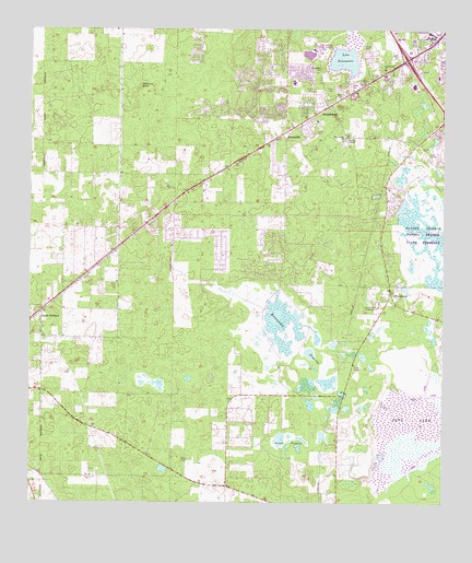 Arredondo, FL USGS Topographic Map
