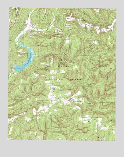 Fern, AR USGS Topographic Map