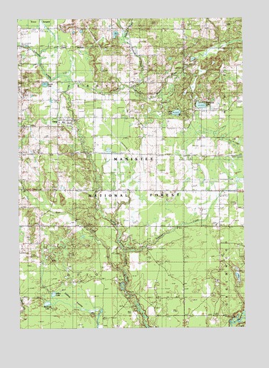 Ferry, MI USGS Topographic Map