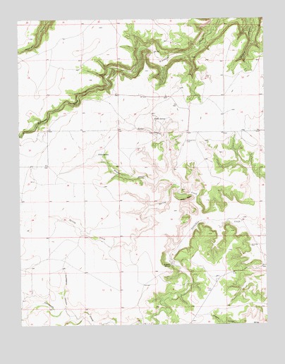 Fiddler Springs, NM USGS Topographic Map
