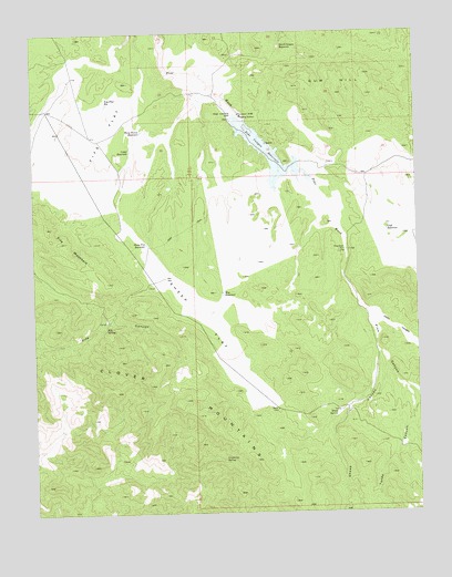 Fife Mountain, NV USGS Topographic Map