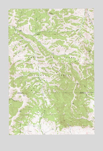 Arrow Peak, MT USGS Topographic Map