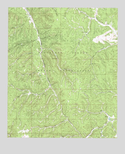 Firman Canyon, NM USGS Topographic Map
