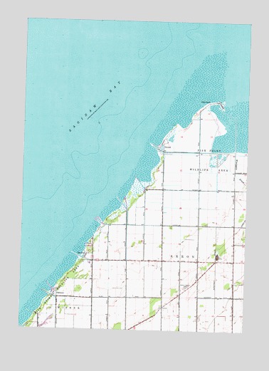 Fish Point, MI USGS Topographic Map