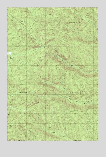 Fish River Lake SW, ME USGS Topographic Map