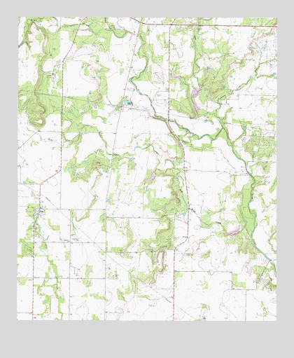 Fisk, TX USGS Topographic Map