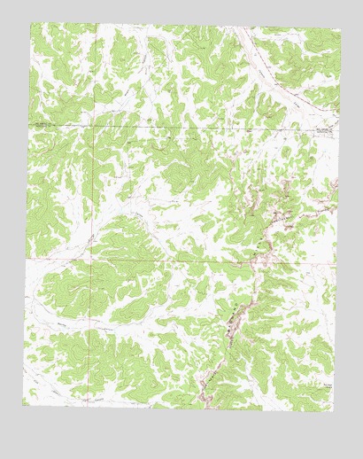 Five Lakes Canyon NE, NM USGS Topographic Map