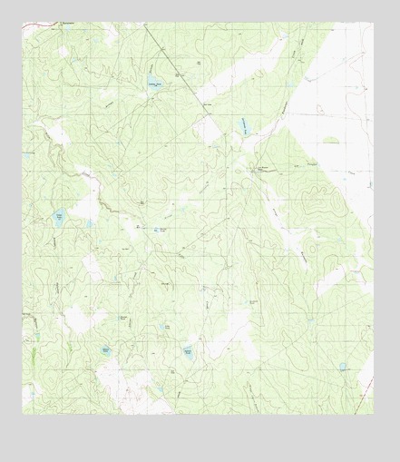 Arroyo Huisache, TX USGS Topographic Map