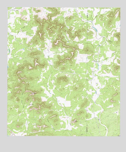Flatrock Crossing, TX USGS Topographic Map