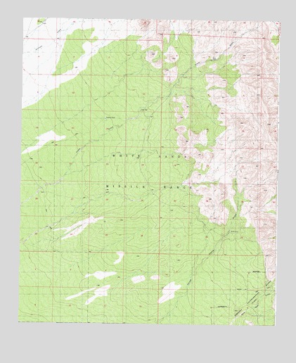 Fleck Draw, NM USGS Topographic Map