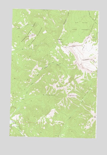 Flint Mountain, MT USGS Topographic Map