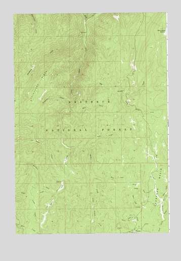 Florence, ID USGS Topographic Map