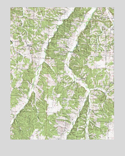 Florence, MO USGS Topographic Map