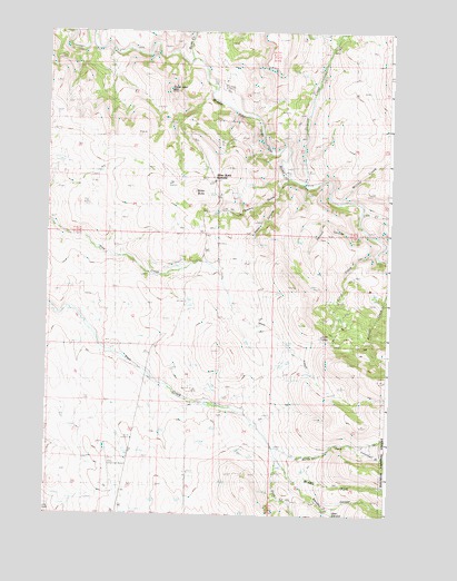 Flowers Gulch, OR USGS Topographic Map