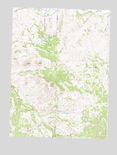 Fly Creek, CO USGS Topographic Map