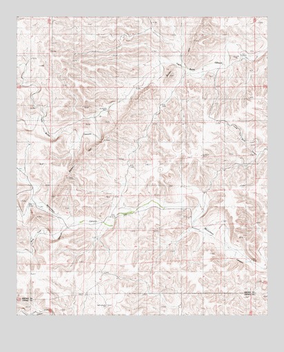 Flying H NE, NM USGS Topographic Map