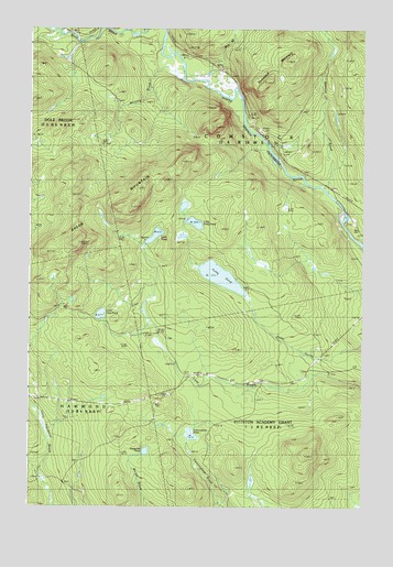 Foley Pond, ME USGS Topographic Map