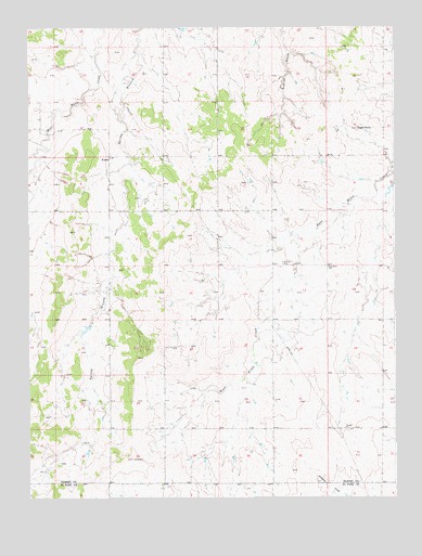 Fondis, CO USGS Topographic Map
