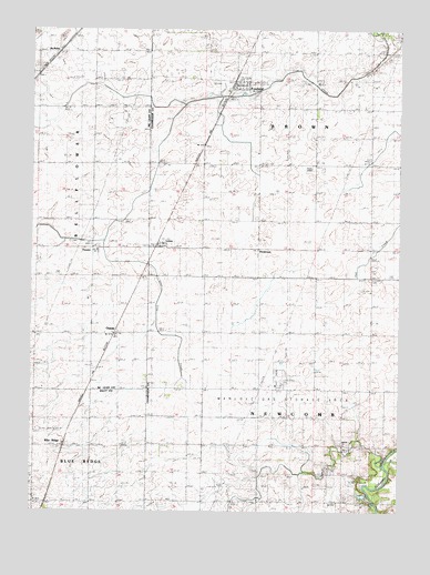Foosland, IL USGS Topographic Map