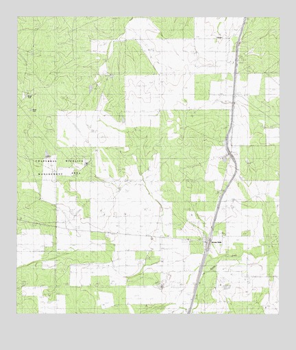 Artesia Wells, TX USGS Topographic Map
