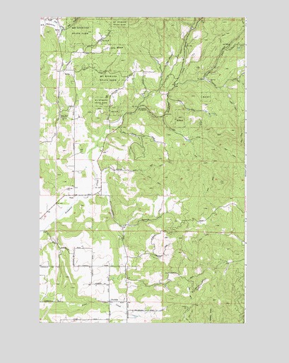 Foothills, WA USGS Topographic Map