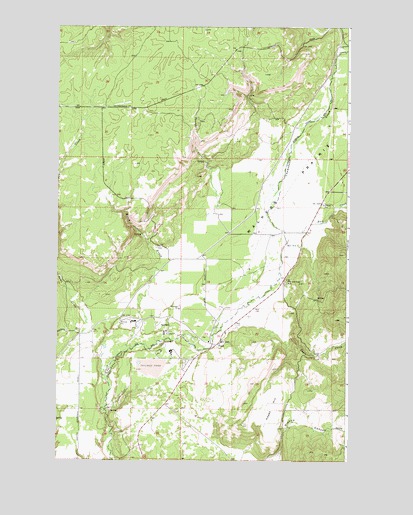 Ford, WA USGS Topographic Map