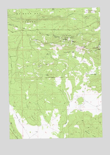 Foreman Point, OR USGS Topographic Map