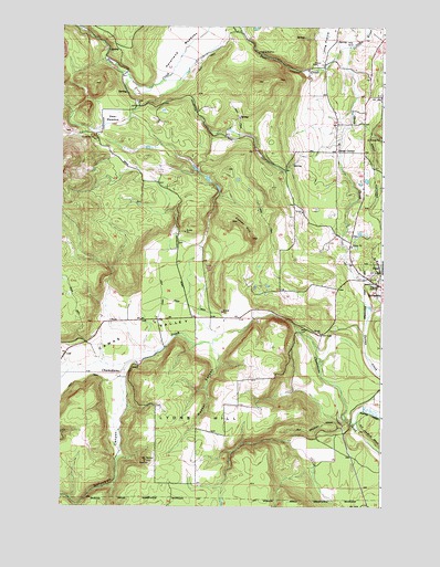 Forest Center, WA USGS Topographic Map