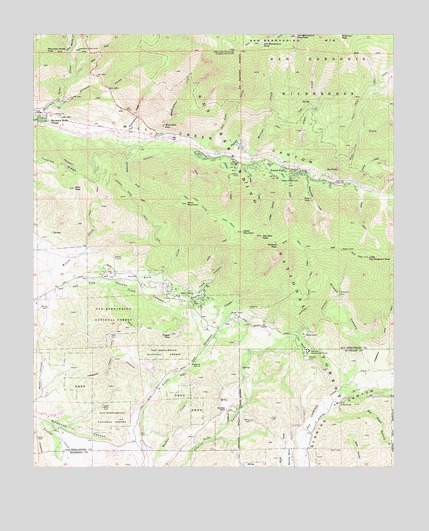 Forest Falls, CA USGS Topographic Map