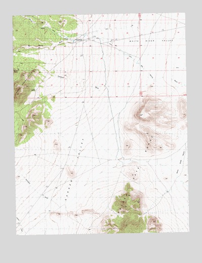 Forest Home, NV USGS Topographic Map