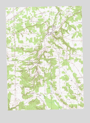 Forestville, NY USGS Topographic Map