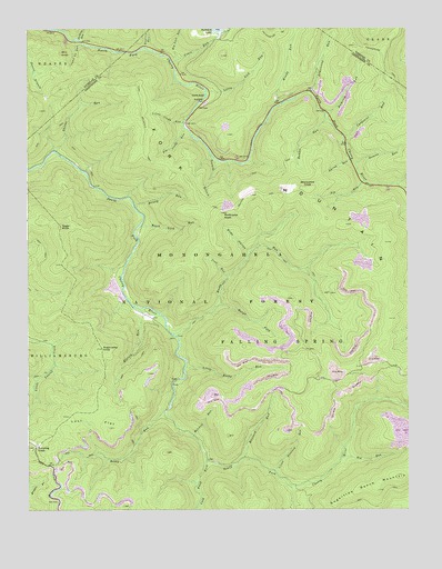 Fork Mountain, WV USGS Topographic Map