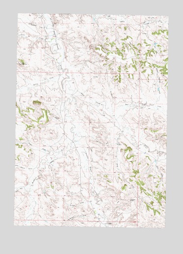 Forks Ranch, MT USGS Topographic Map