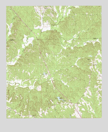 Fort Dale, AL USGS Topographic Map