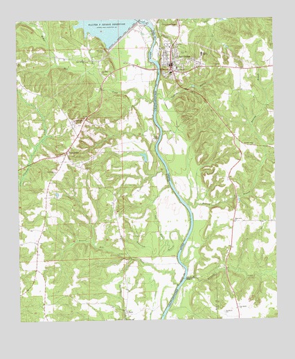 Fort Gaines, GA USGS Topographic Map