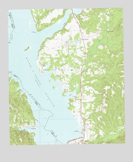 Fort Gaines NE, GA USGS Topographic Map