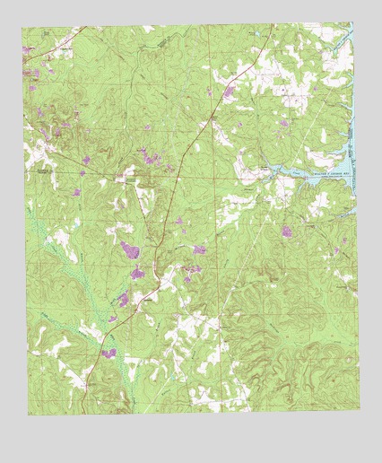 Fort Gaines NW, AL USGS Topographic Map