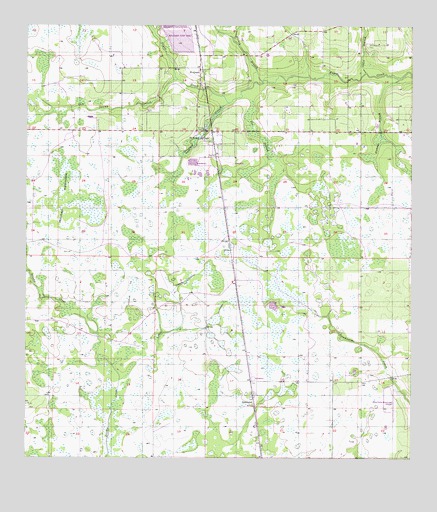 Fort Green, FL USGS Topographic Map