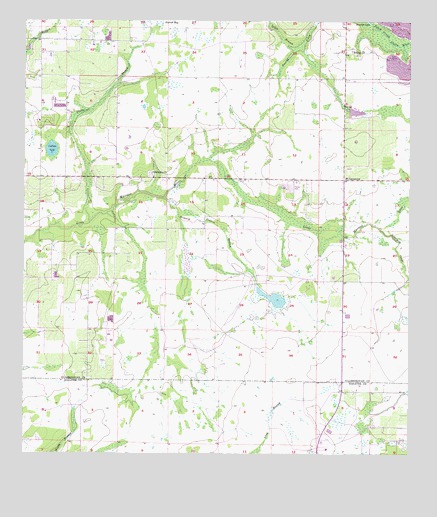 Fort Lonesome, FL USGS Topographic Map