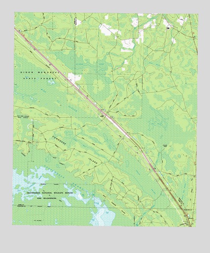 Fort Mudge, GA USGS Topographic Map