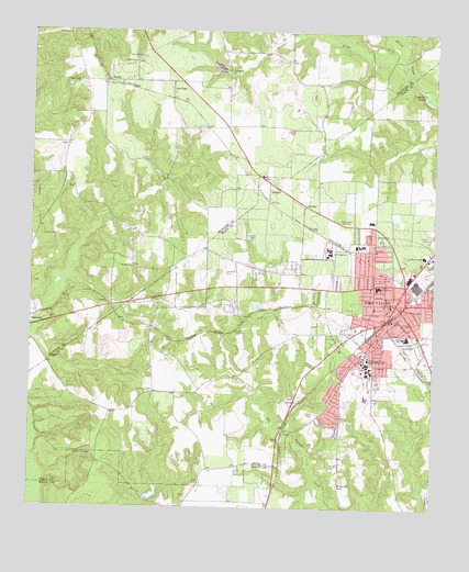 Fort Valley West, GA USGS Topographic Map