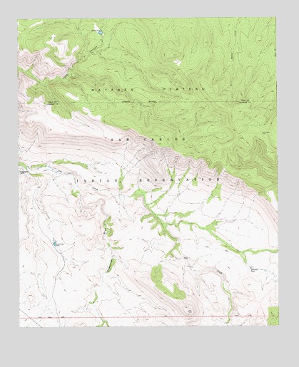 Ash Creek NE, AZ USGS Topographic Map