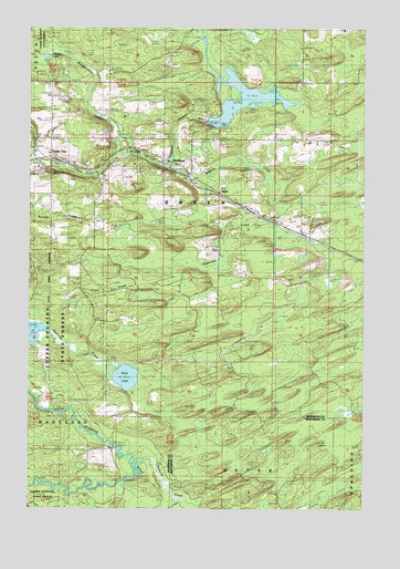 Foster City, MI USGS Topographic Map