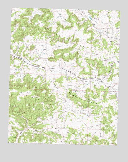 Fourmile Canyon, NM USGS Topographic Map
